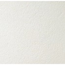 АРМСТРОНГ Плита потолочная Биогуард Плейн 600x600x12мм (1шт) кромка Борд