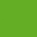 Пленка самоклеющаяся, d-c-fix, 0,45x2 м, зеленый яблочный, лак